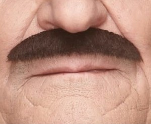 verschillende snorstijlen schilderkwast snor