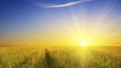 Vitamine D staat ook wel bekend als de zonneschijn vitamine